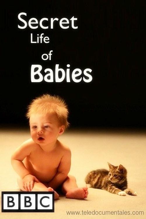 Постер Secret Life of Babies